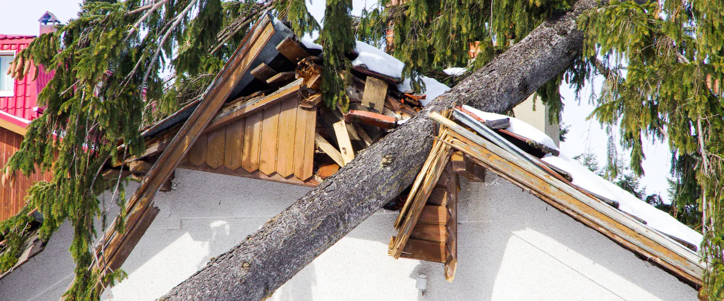 storm damage fallen tree on roof lafayette la